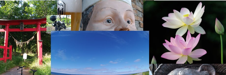 potavan's profile banner image