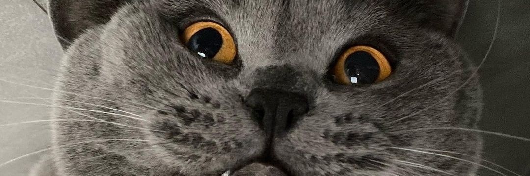ArindraAndara's profile banner image