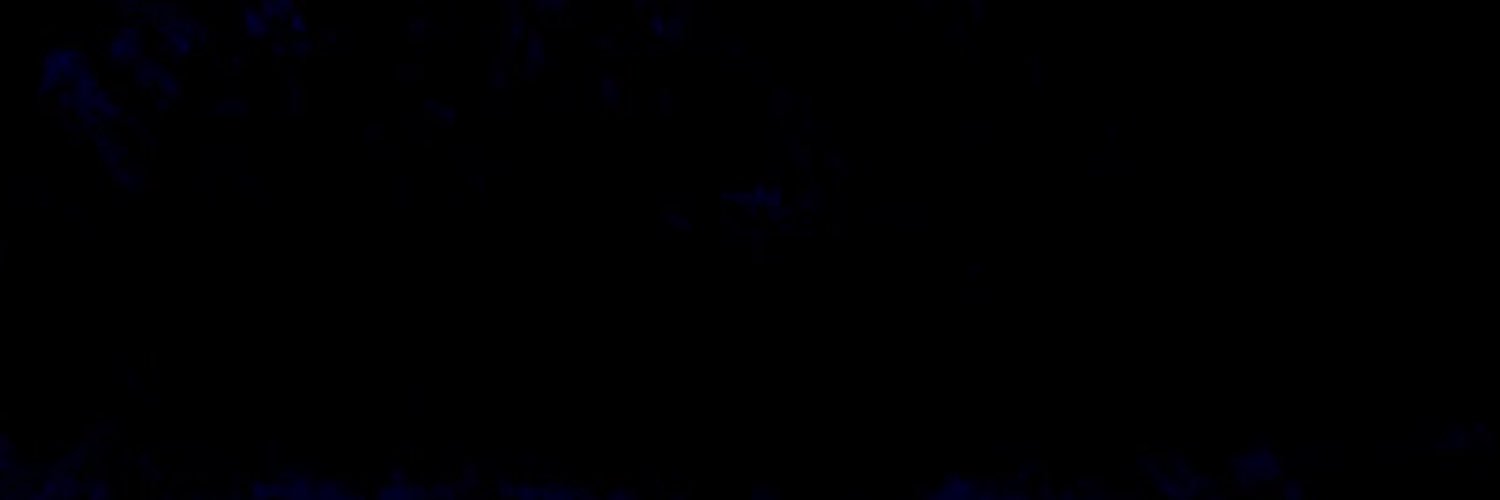 bourneindie's profile banner image