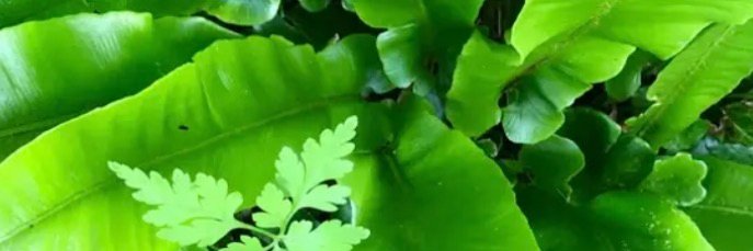 Eco Stuffing 💣 banner