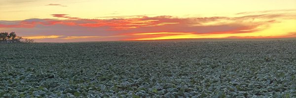 scottyheps Profile Banner
