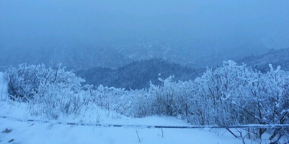 ohjunggogo's profile banner image