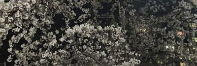 ~ banner