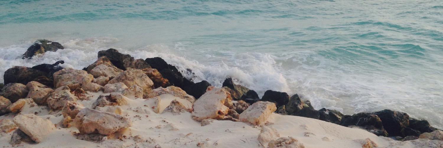 BPristera's profile banner image