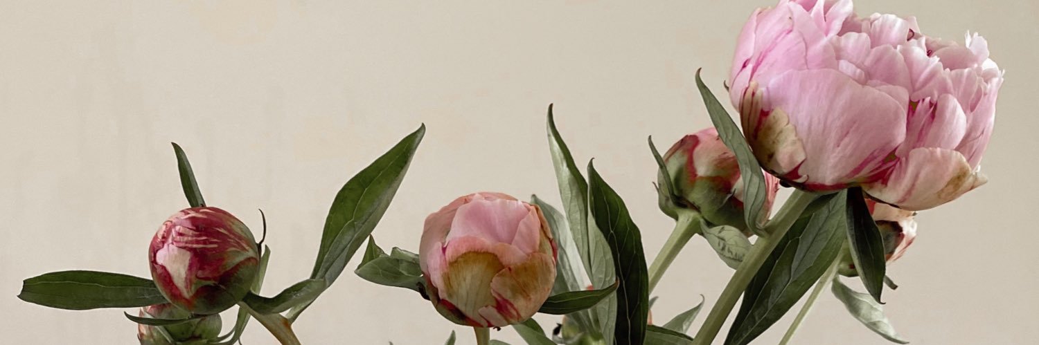 soophfable's profile banner image
