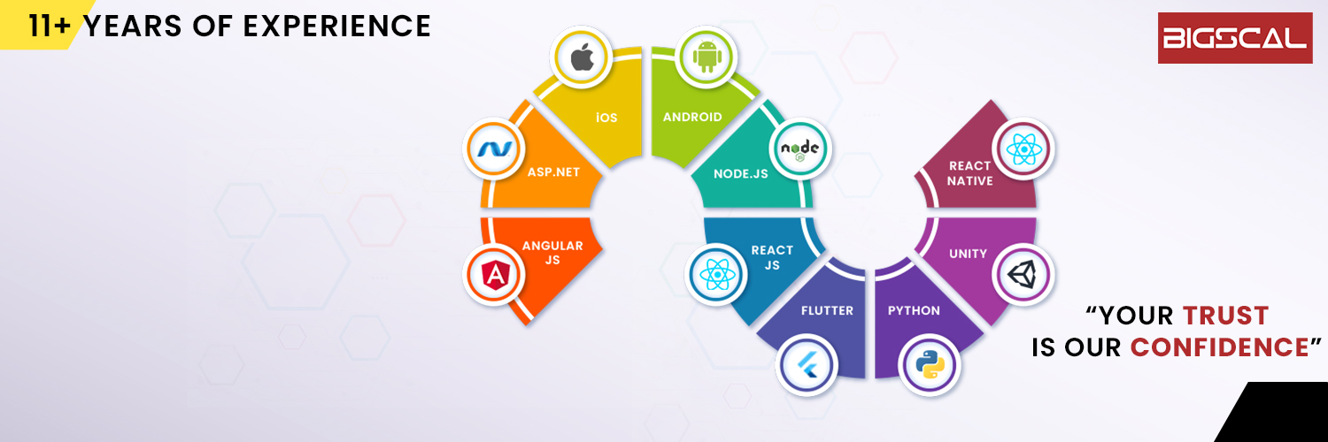 Bigscal Technologies Pvt. Ltd. banner