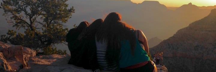 LilyRohwer's profile banner image
