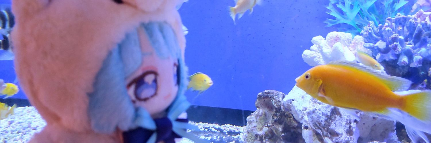 ♥️🐻🌺シズカ🦐🏝️♥️ banner