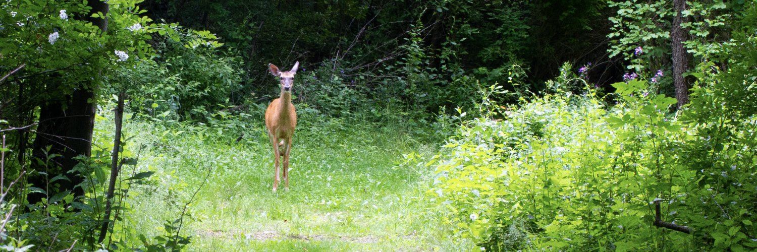 Capuchin Retreat banner