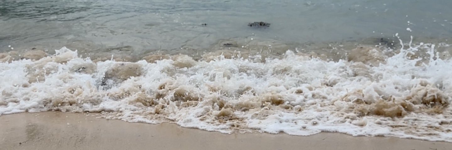 IRSW_'s profile banner image