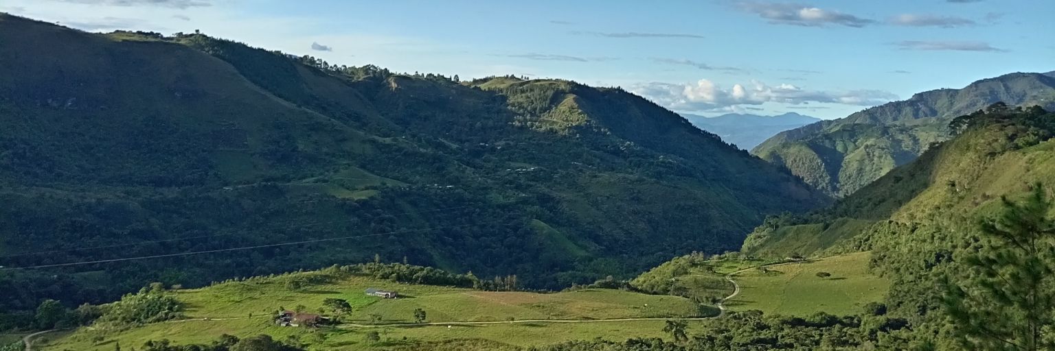 fbnleonardo's profile banner image
