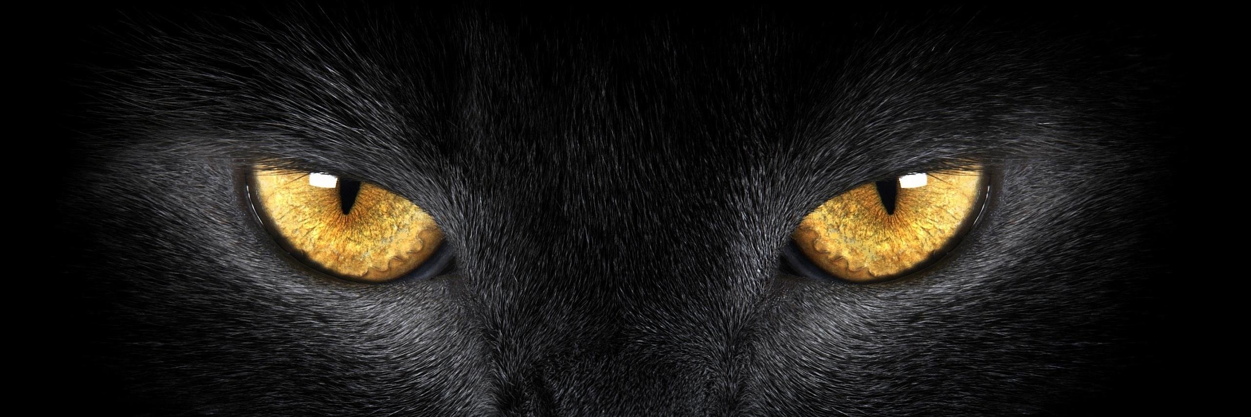 Hadid | 𝔽rAI | banner