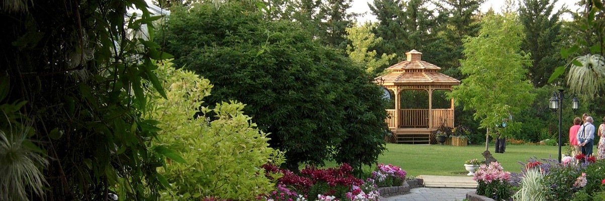 cedarshedind's profile banner image