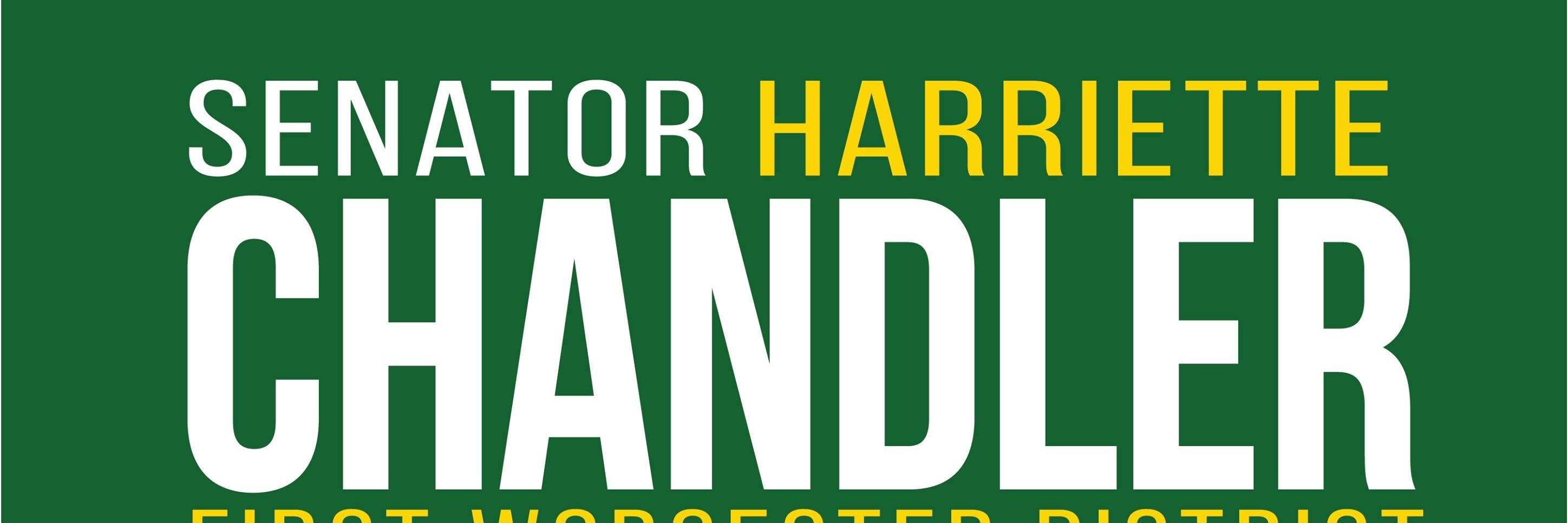 VoteSenChandler's profile banner image