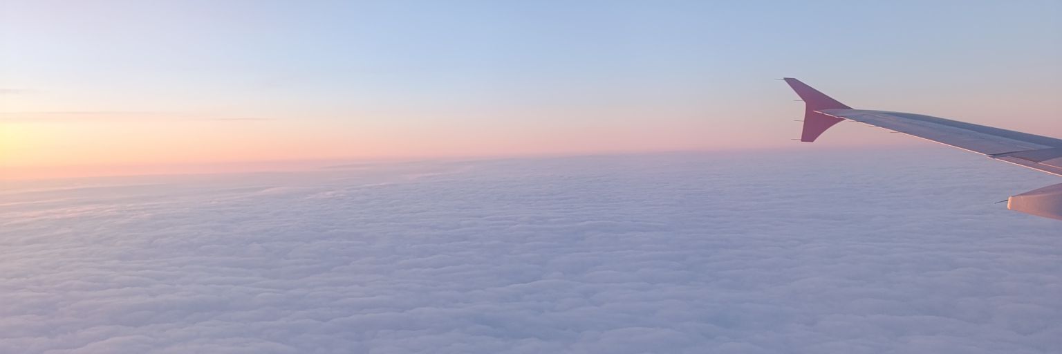 hamsterplage's profile banner image
