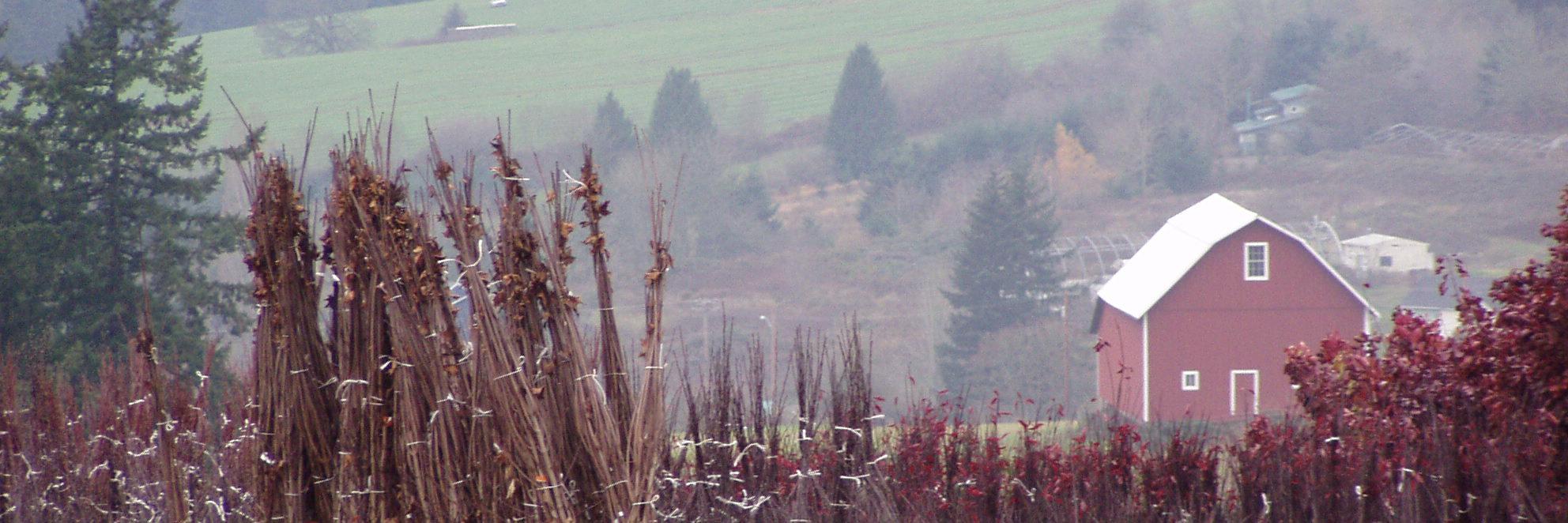 PacificGroves's profile banner image