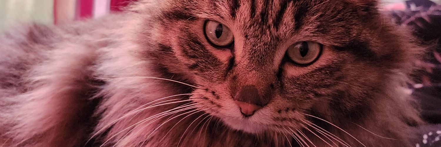 aboothoratable's profile banner image