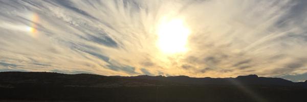 zoomarang Profile Banner