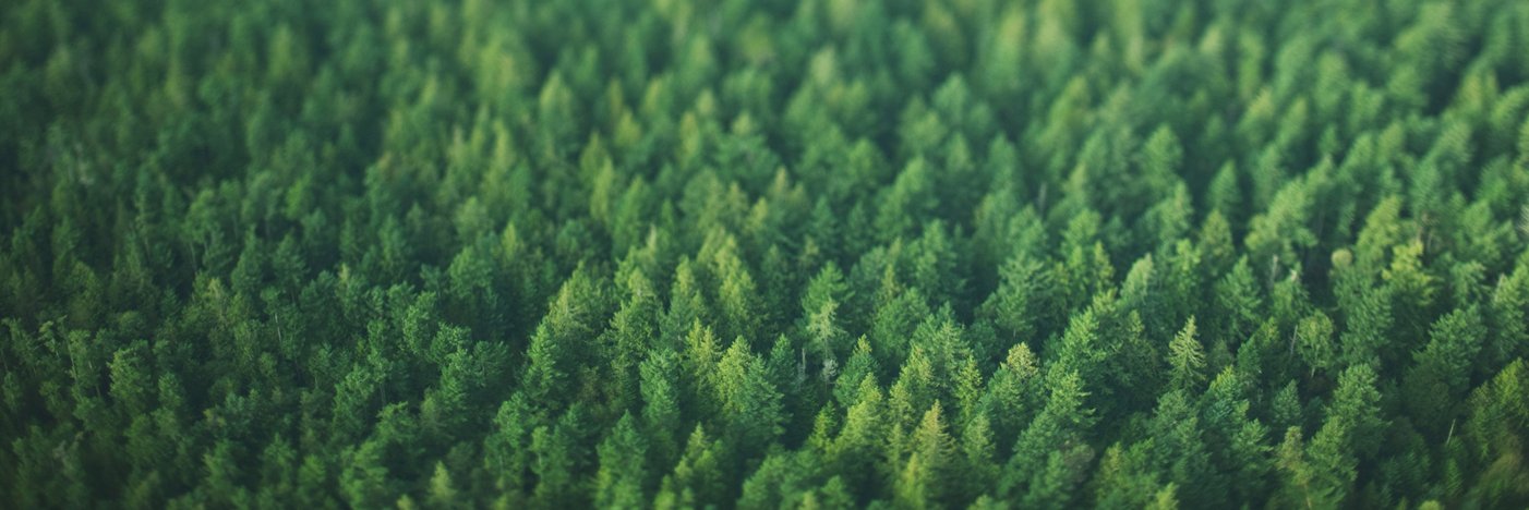 EcoZero banner