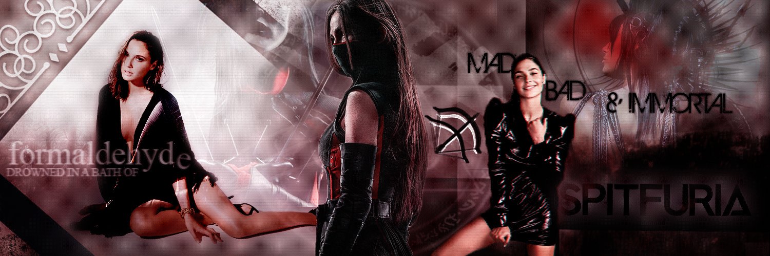 Spitfuria's profile banner image