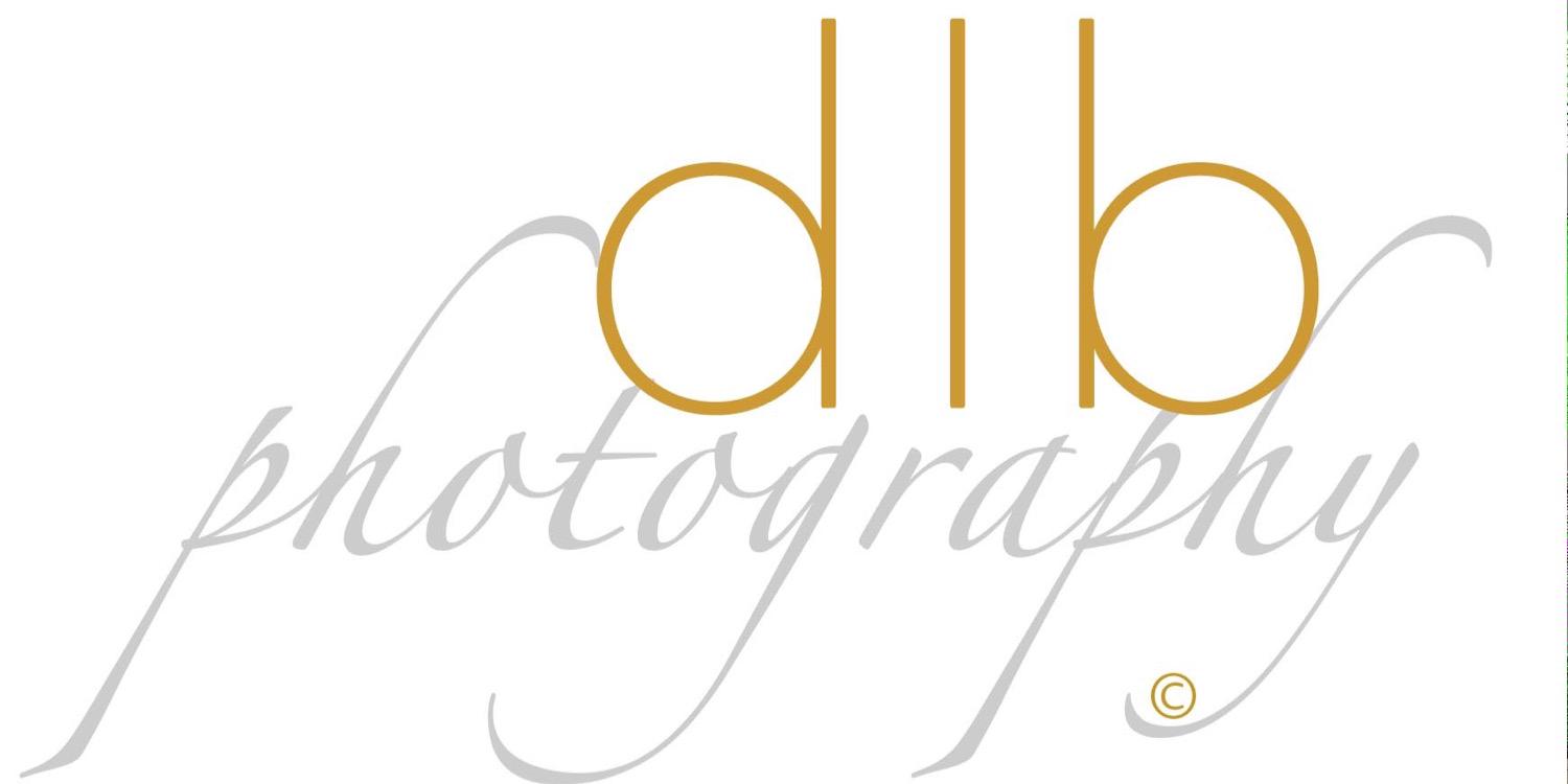 Lee_DLB_Photo's profile banner image