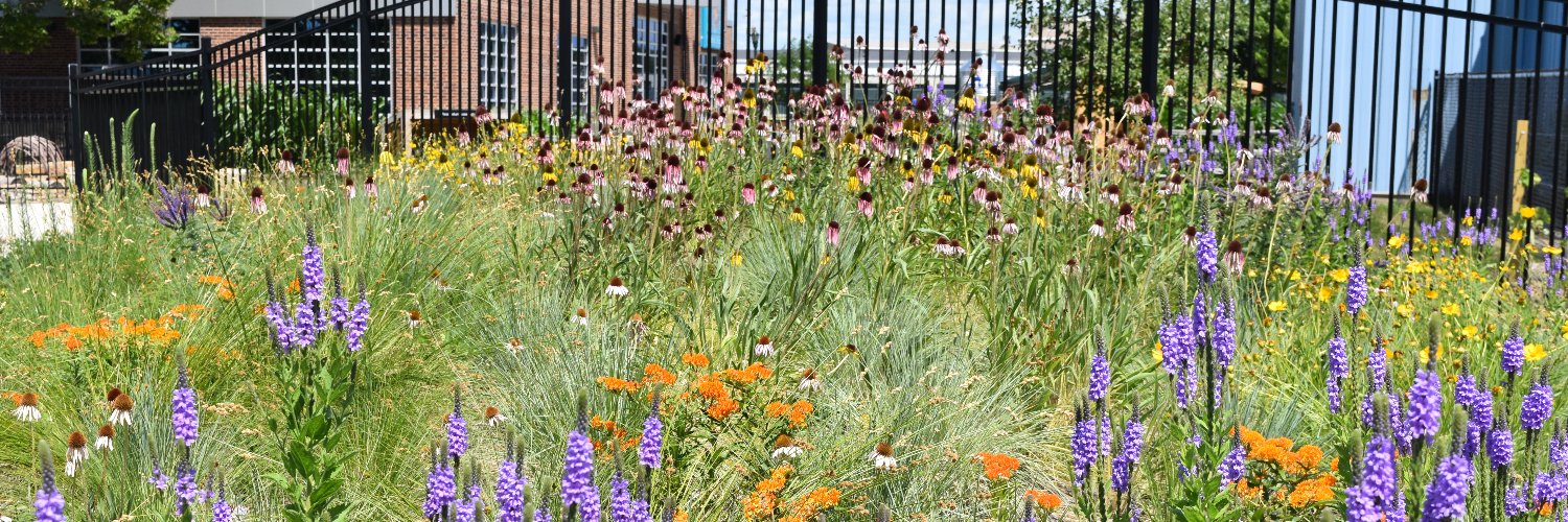 Dustin Demmer banner