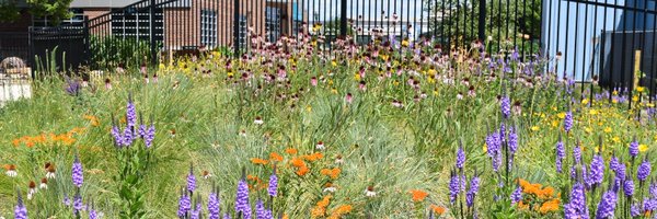 DustinDemmer Profile Banner