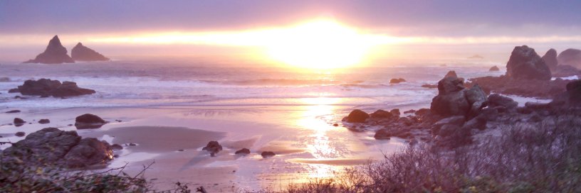 Thought Criminal ( Gerald Klaas ) banner