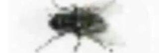 🤖 ʋɨȶɛ 📶 ΘΔ banner