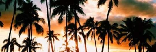 Dian_R02's profile banner image