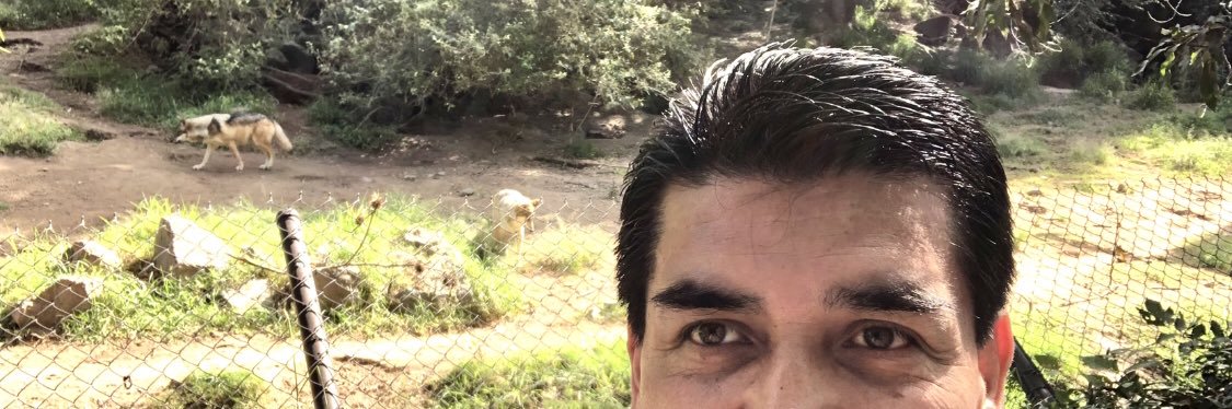 varrientos's profile banner image