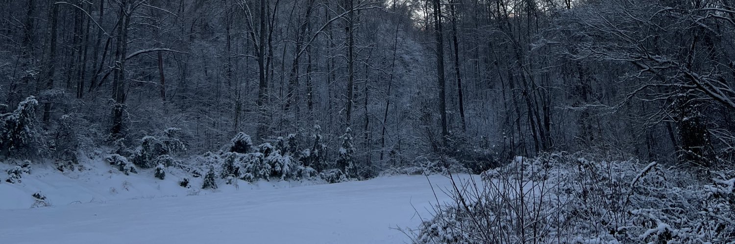 deannahowrd's profile banner image