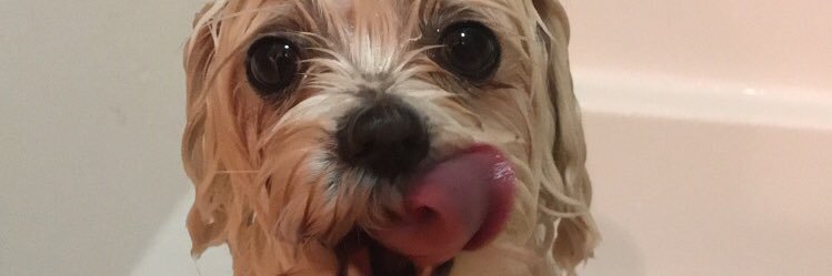 idmassey's profile banner image