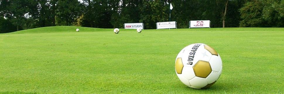 LeamValleyFootg's profile banner image