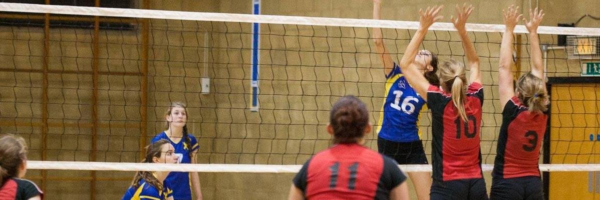 kl_volleyball's profile banner image