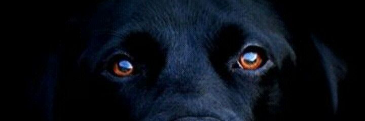 joetert's profile banner image