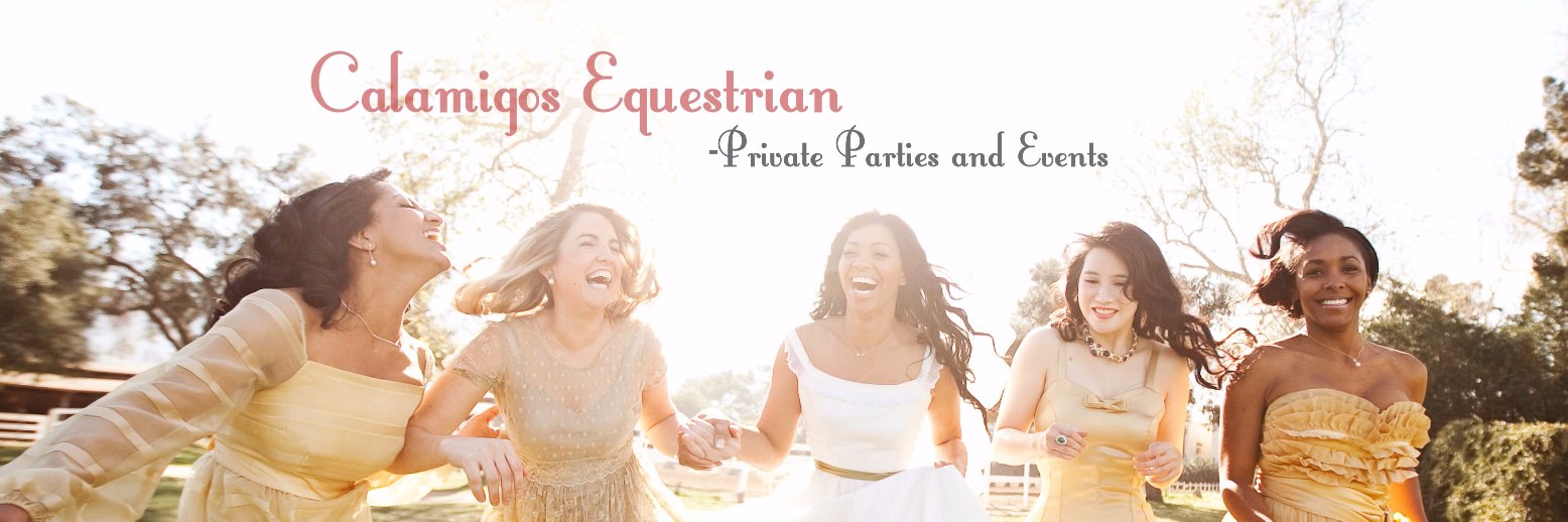 calamigos's profile banner image