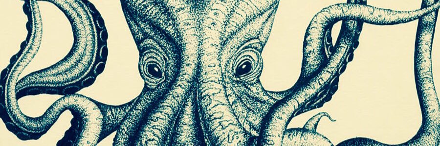 StuOsca's profile banner image