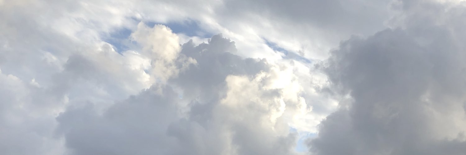 Ashley Spinelli banner