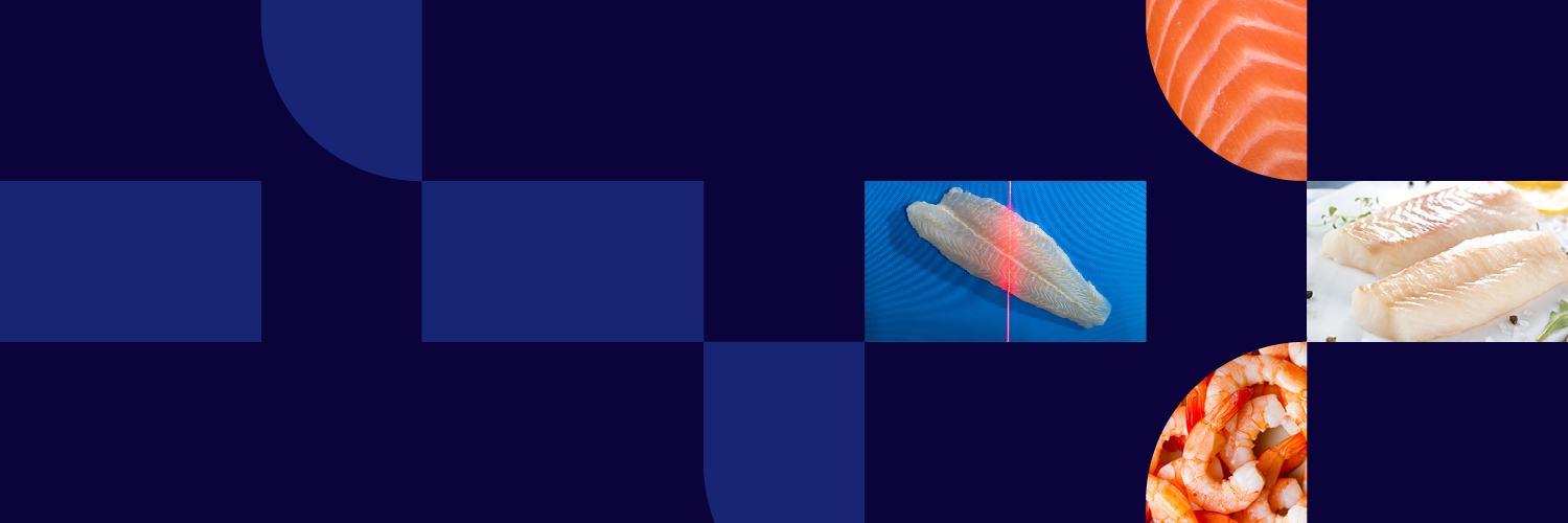 JBTMarelFish's profile banner image