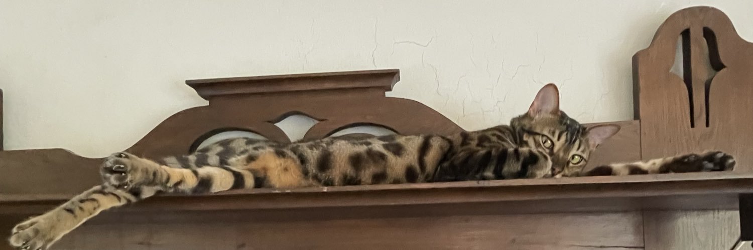 Jean-Pierre Dorléac banner