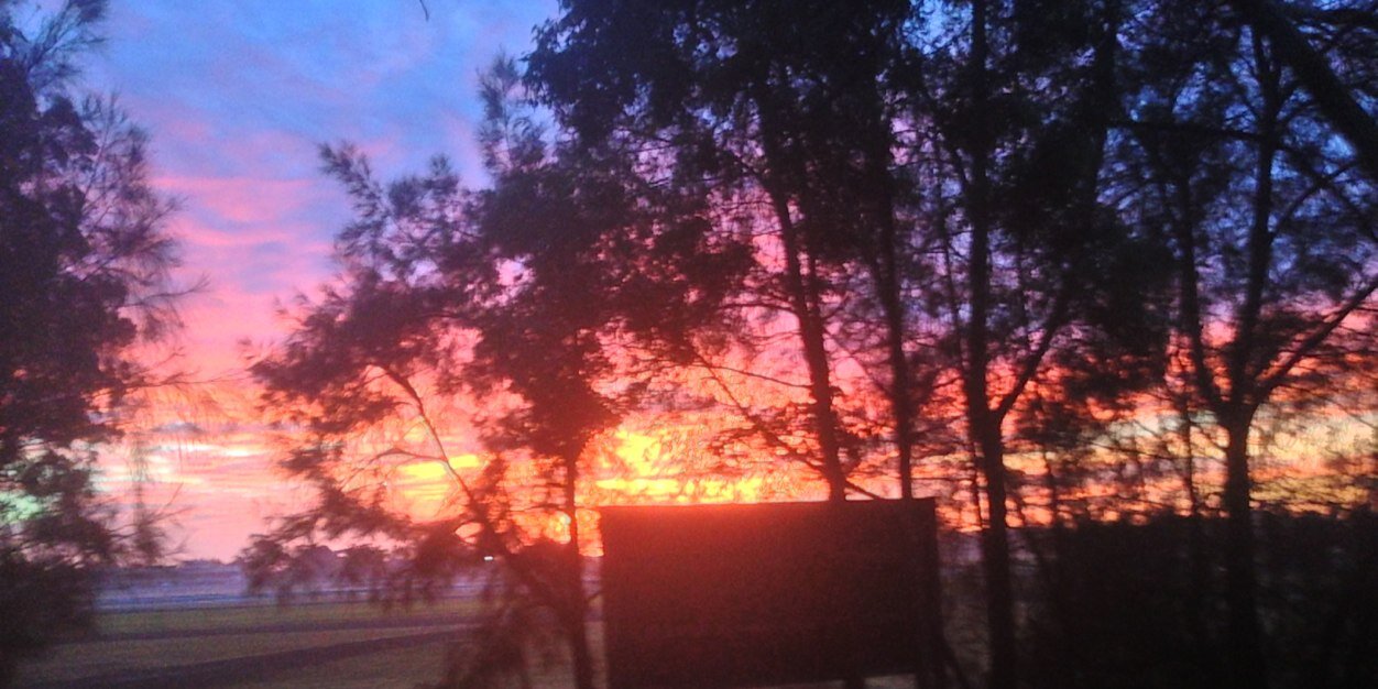 Emma Mayfield-Smith banner