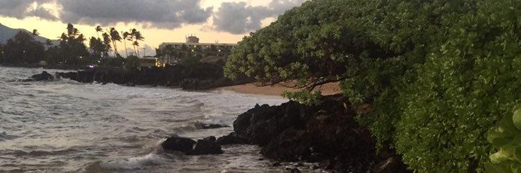 MullMadi's profile banner image