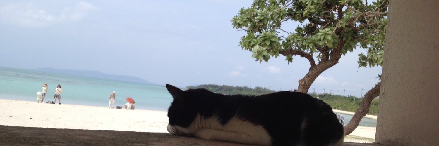 ukokko's profile banner image