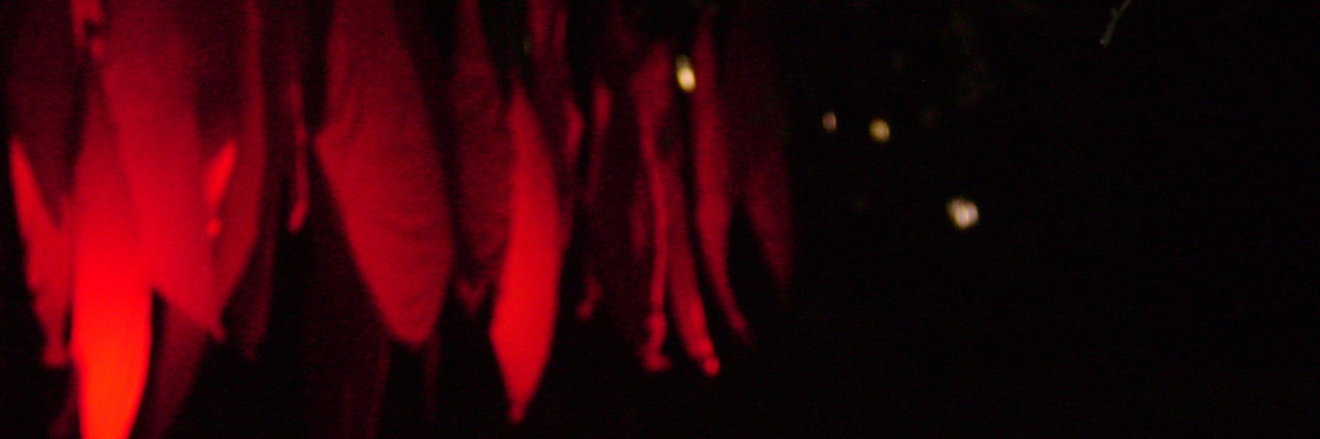 manidonteven's profile banner image