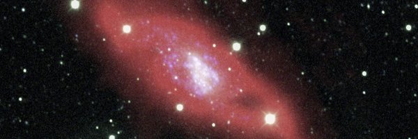 peterrhague Profile Banner