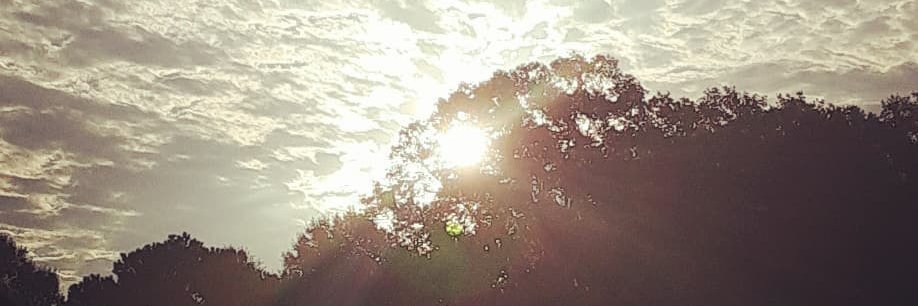 C_STEEL_'s profile banner image