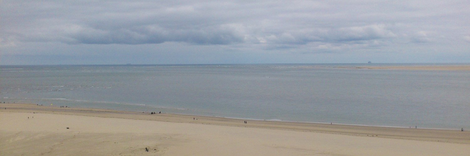 Базылевa Ольга banner