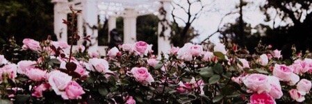 ma1997_u's profile banner image