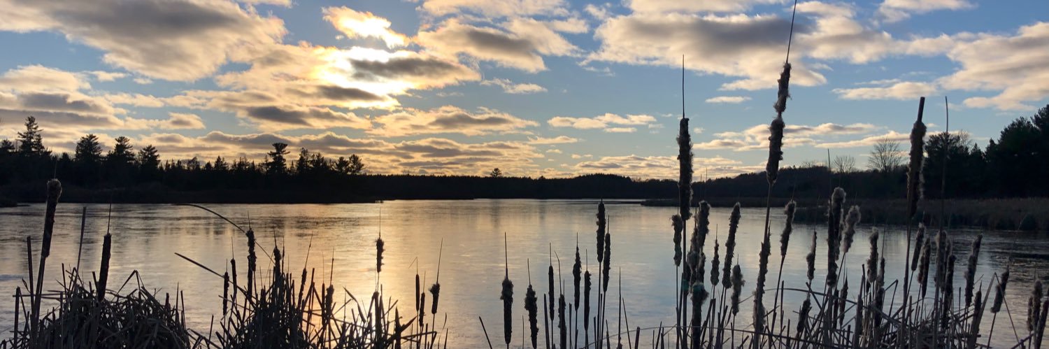 Jackie Decker banner